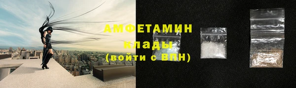 стаф Бородино