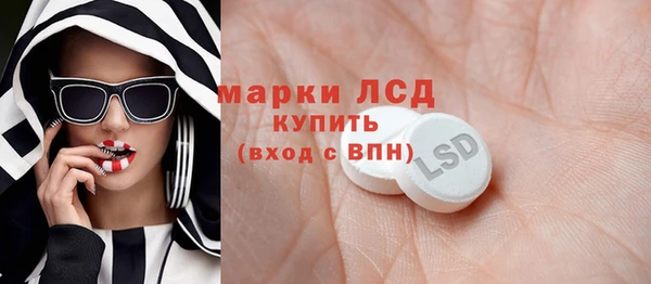 прущие грибы Бронницы