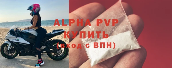 стаф Бородино