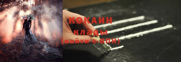 прущие грибы Бронницы