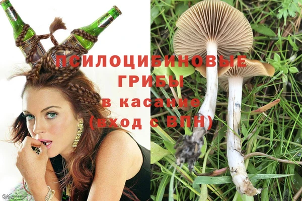 прущие грибы Бронницы