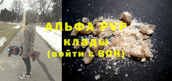 spice Богданович