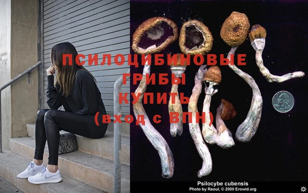 прущие грибы Бронницы