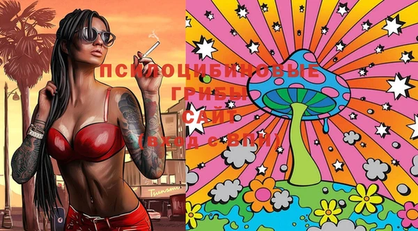 PSILOCYBIN Бугульма