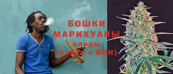 PSILOCYBIN Бугульма