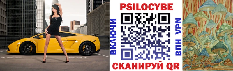 Купить где  Заинск  Псилоцибиновые грибы мицелий 